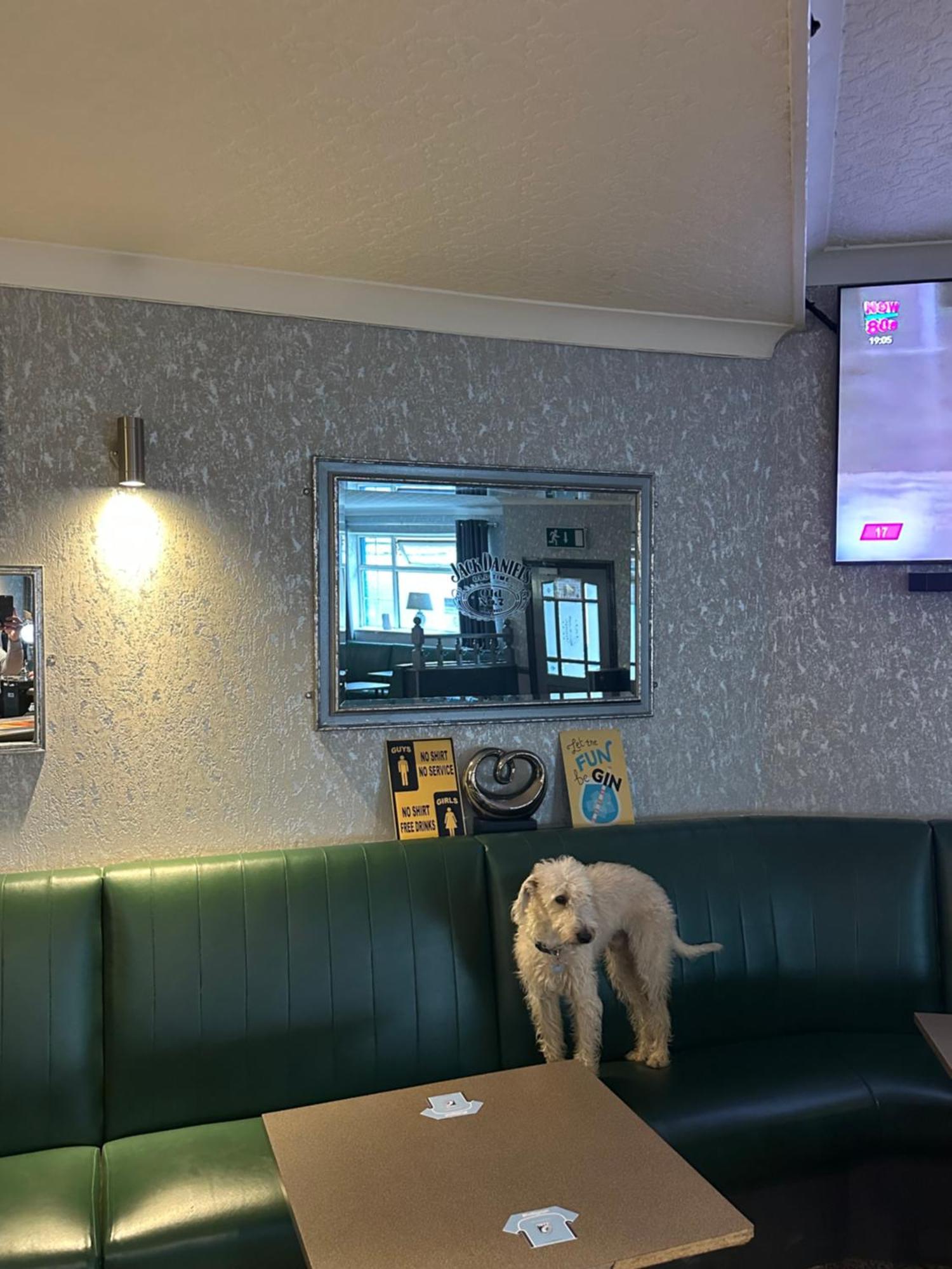 The Angel Inn Troed-y-rhiw Εξωτερικό φωτογραφία